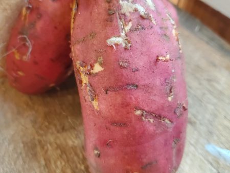 Sweet Potato, Organic, each, approx 1.25 lb Sale