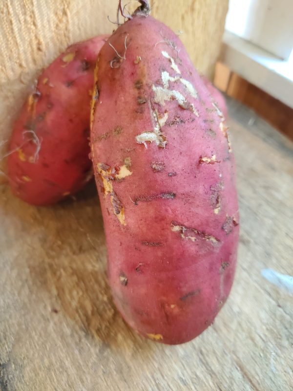 Sweet Potato, Organic, each, approx 1.25 lb Sale