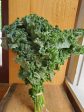 Curly Kale, Organic, 1 bunch Discount