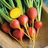 Beets, Golden, Organic, 1 lb. Bag Cheap